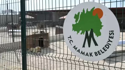 Mamak Belediyesi'nin Sokak Köpekleri İle İlgili İddialara Cevabı: Gerçekler Ortaya Çıkıyor!