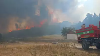 Ankara'da başlayan yangın Bolu'ya sıçradı!